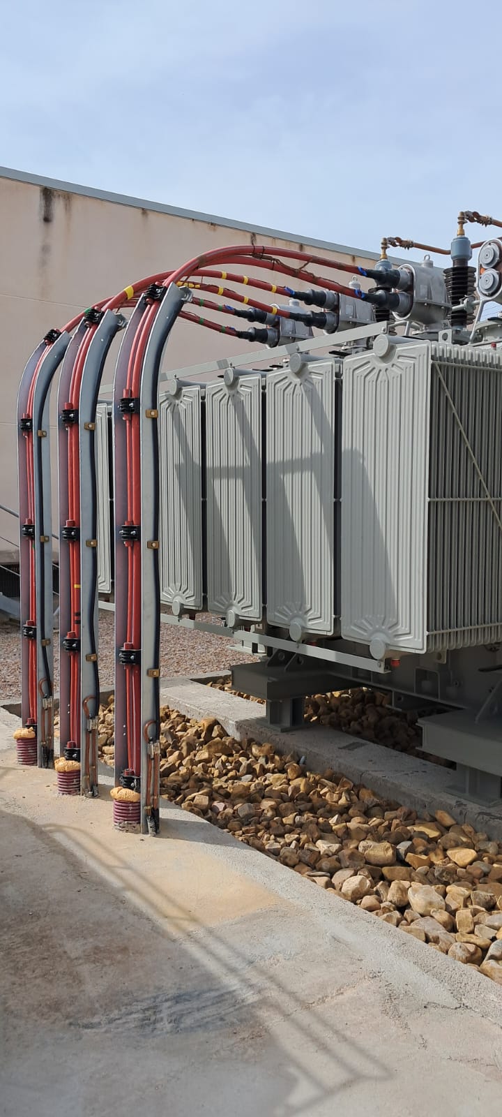 Imagen de WhatsApp 2024-03-07 a las 12.26.29_a4a29f53